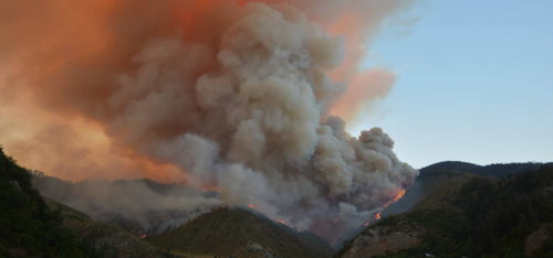 თუშეთში ისევ ხანძარია