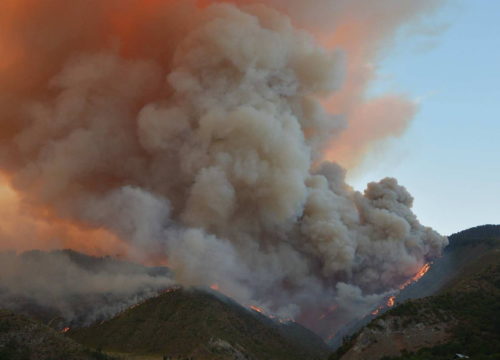 თუშეთში ისევ ხანძარია